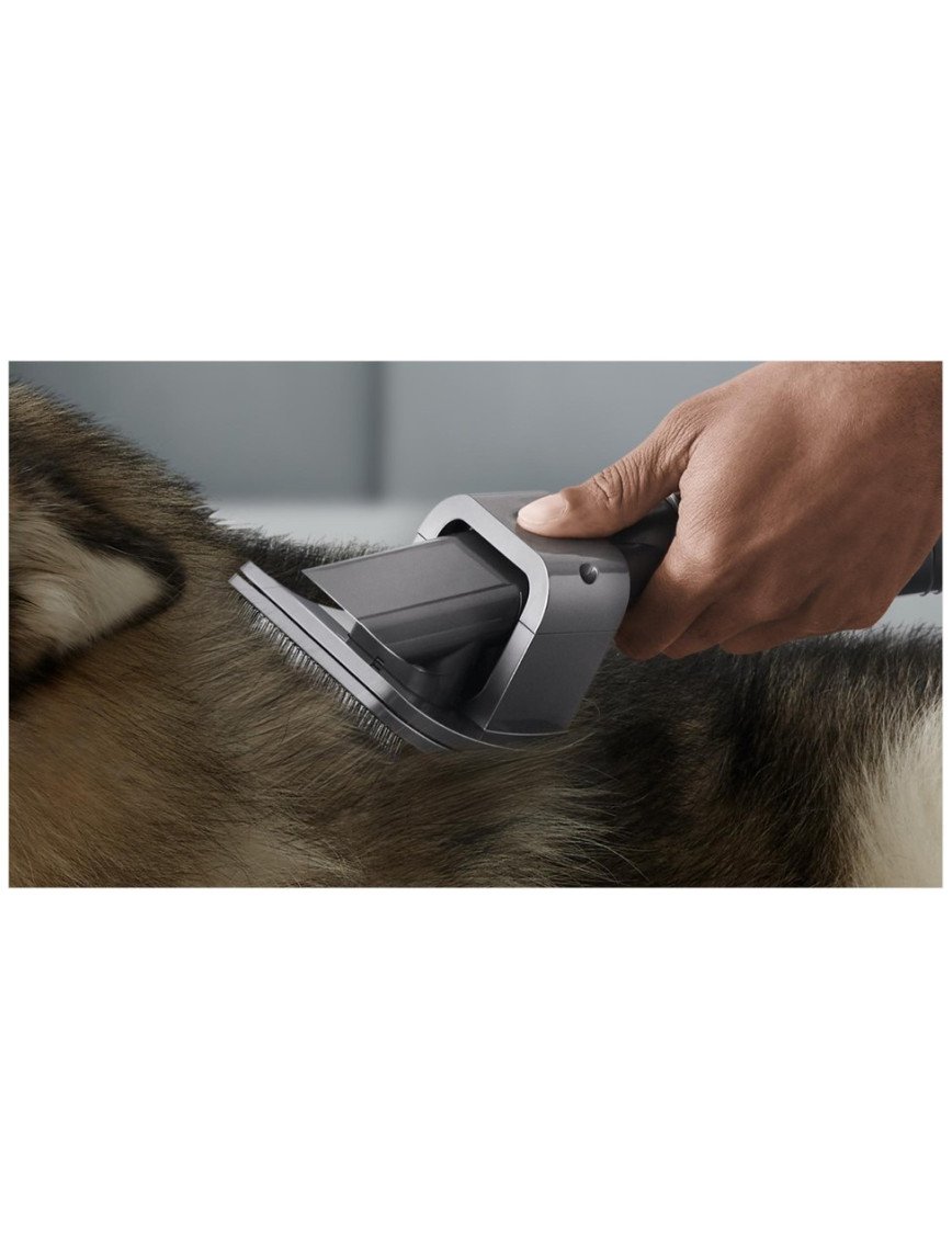 Dyson Evcil Hayvan Bakım Seti